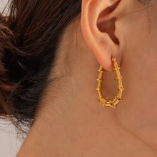 Load image into Gallery viewer, Gold-Plated Stainless Steel Hoop Earrings