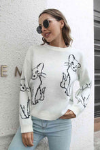 Load image into Gallery viewer, Cat Pattern Round Neck Long Sleeve Pullover Sweater