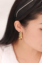 Load image into Gallery viewer, So Gorgeous 18K Gold-Plated Rhinestone Earrings
